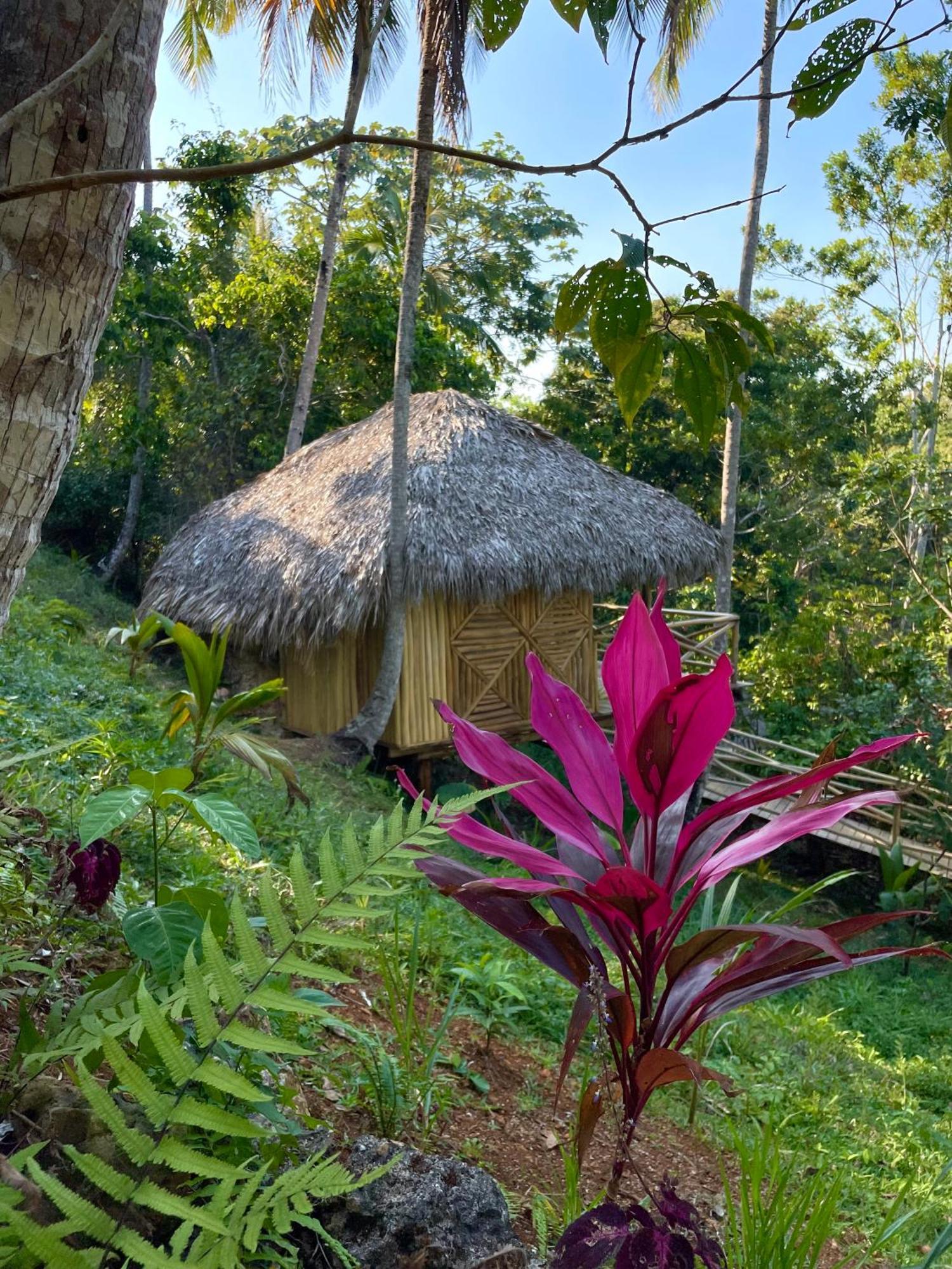 Rancho Romana Ecolodge Park V-01 El Limon Exterior foto