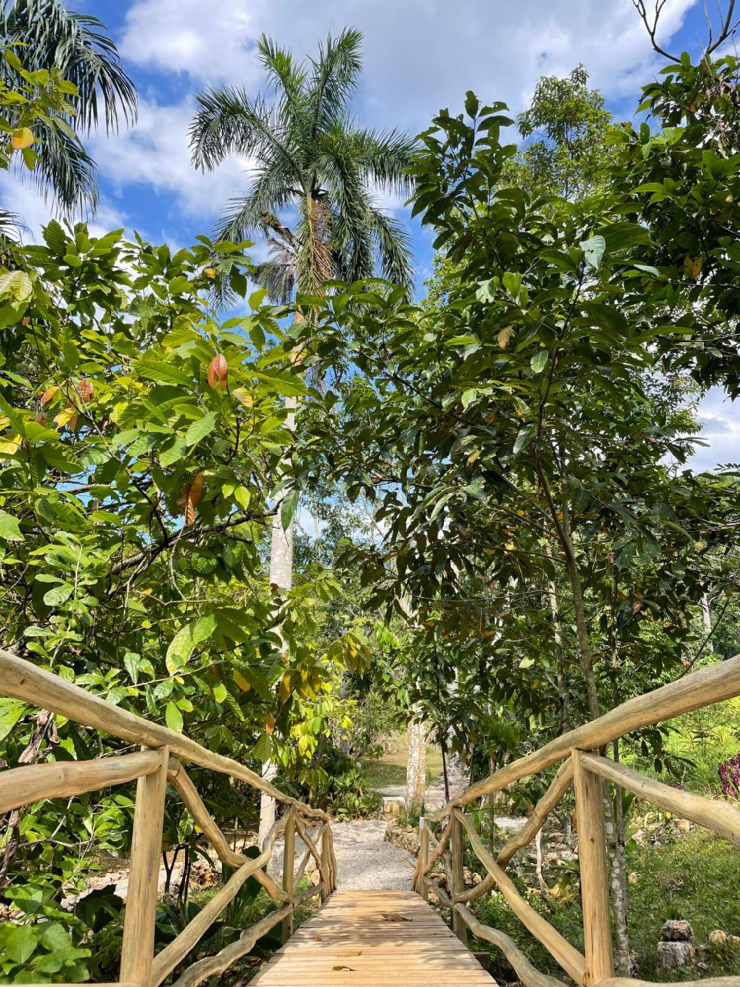 Rancho Romana Ecolodge Park V-01 El Limon Exterior foto